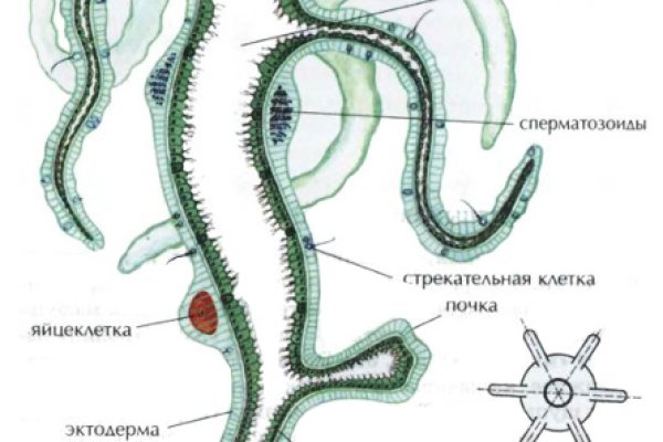 Как зайти на кракен через айфон