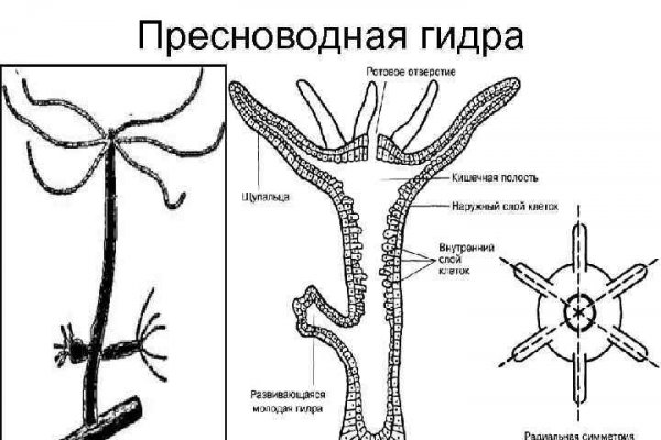 Как войти в кракен через тор