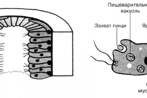 Официальный сайт kraken ссылки зеркала